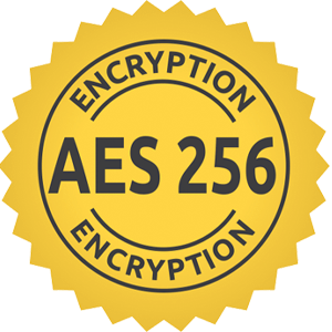 Advanced Encryption Standard